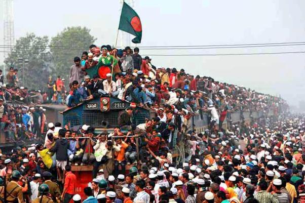 overpopulation
