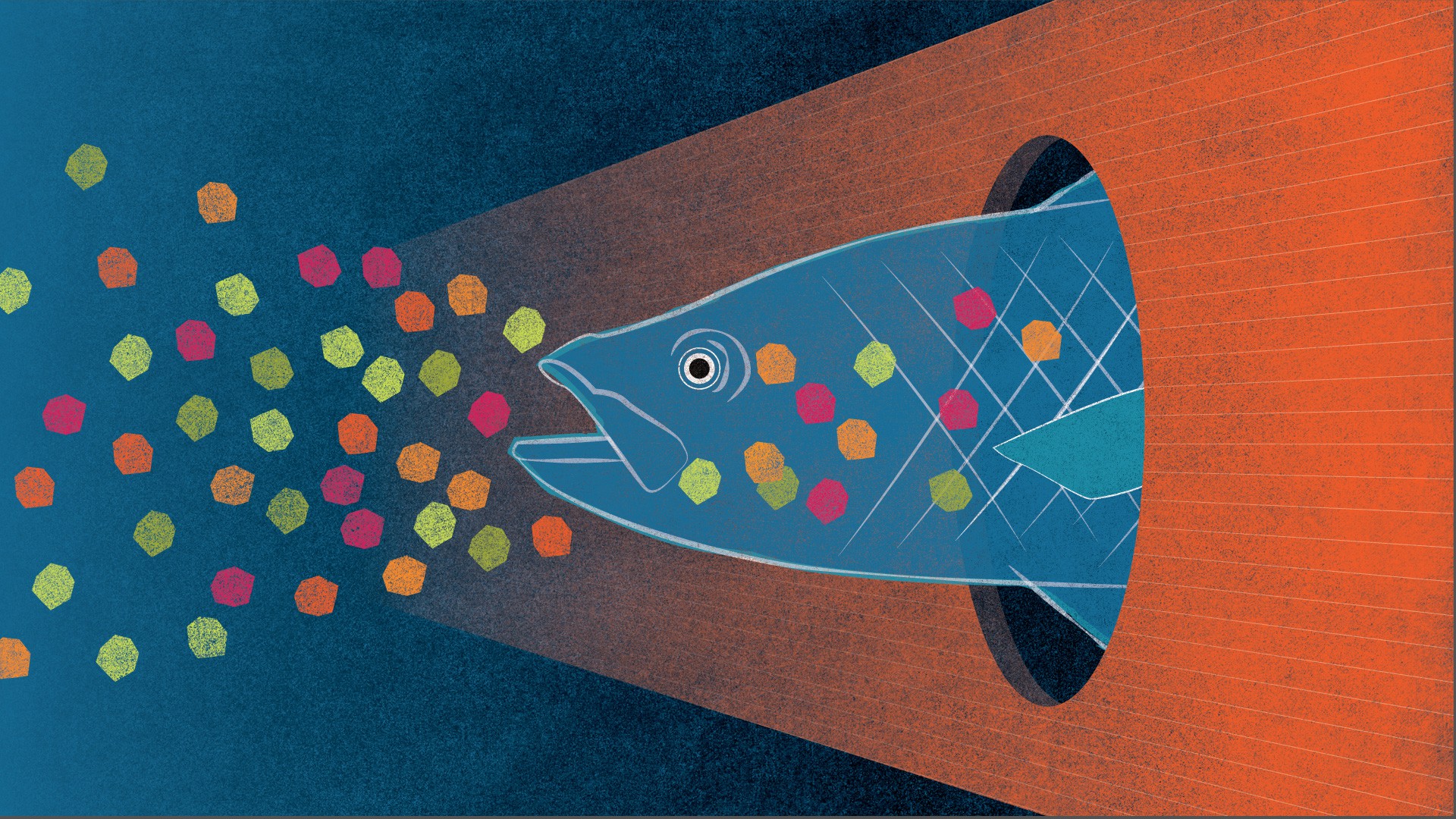 Ocean Microplastics