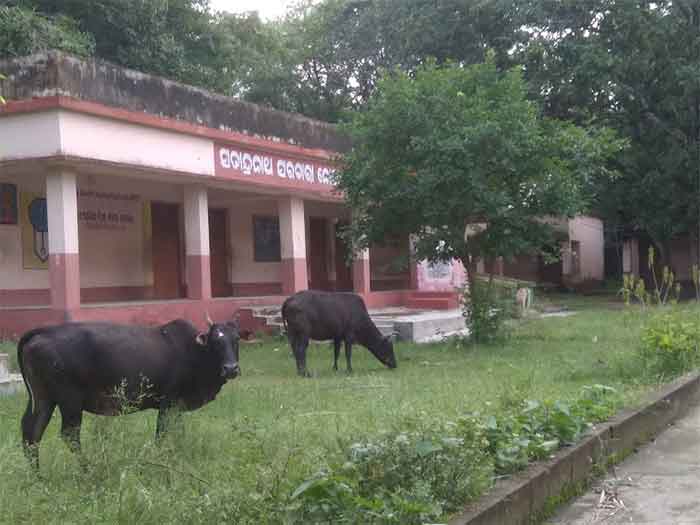 School-Covid