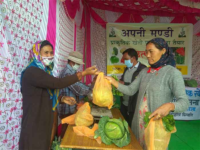 market1