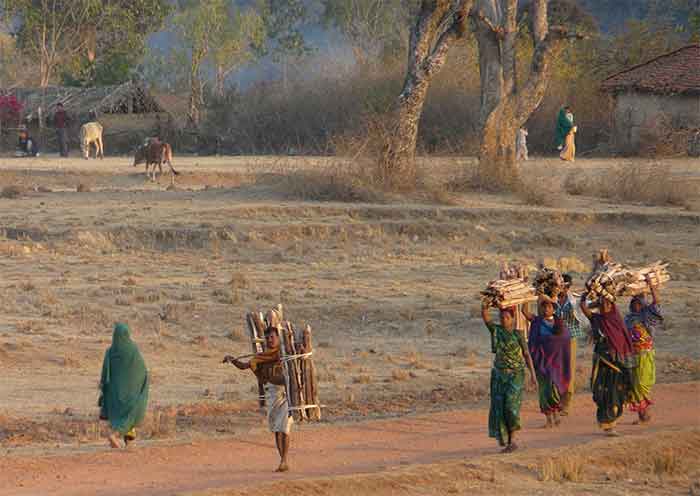 farmers-firewood