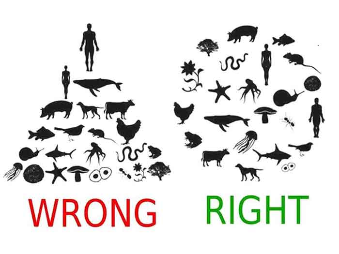 Eco-System