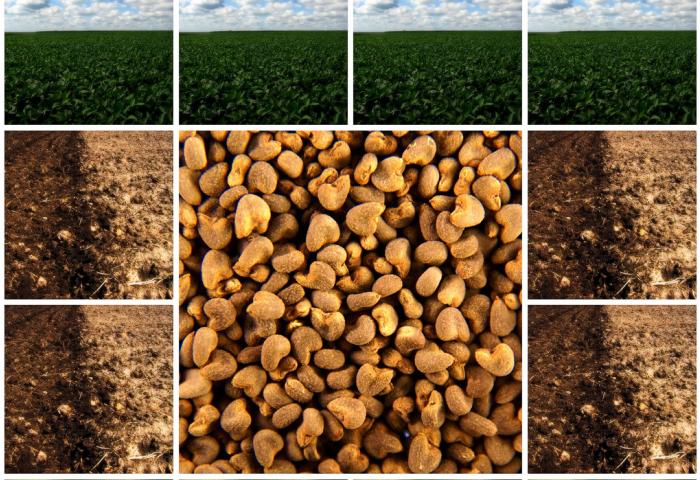 agroecology-001_0