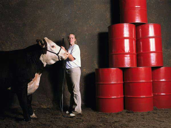oil-for-beef_319_600x450
