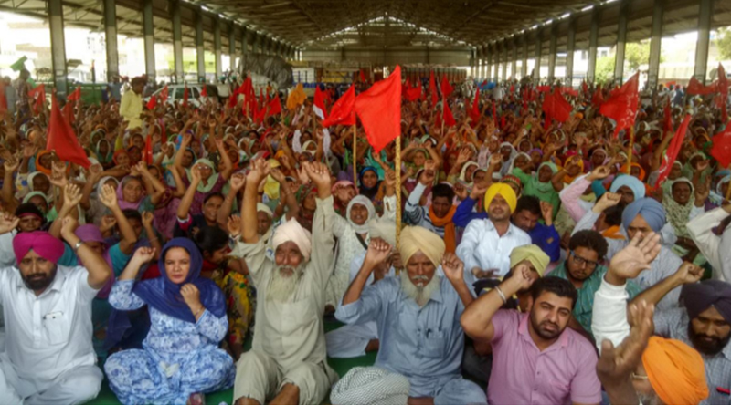 punjabfarmers