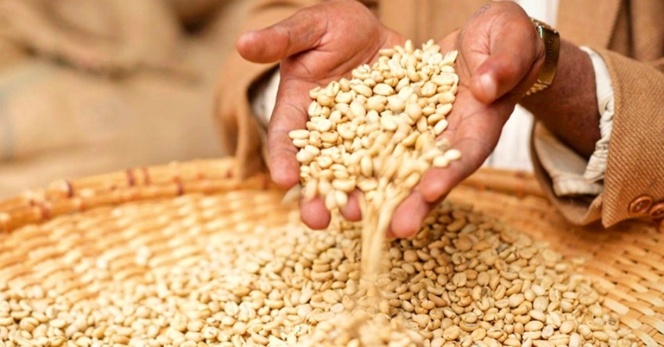 seeds