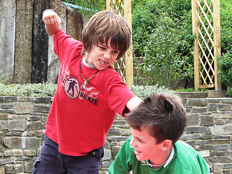 Fight! By Aislinn Ritchie, Flickr (CC BY-SA 2.0)