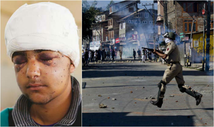 kashmir-pellets