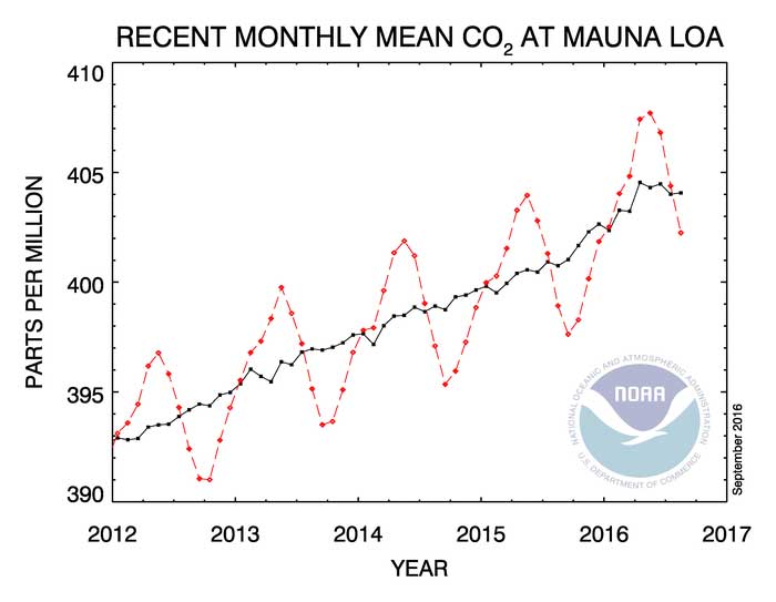 mauna-loa-recent