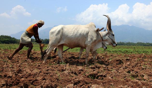 farmer