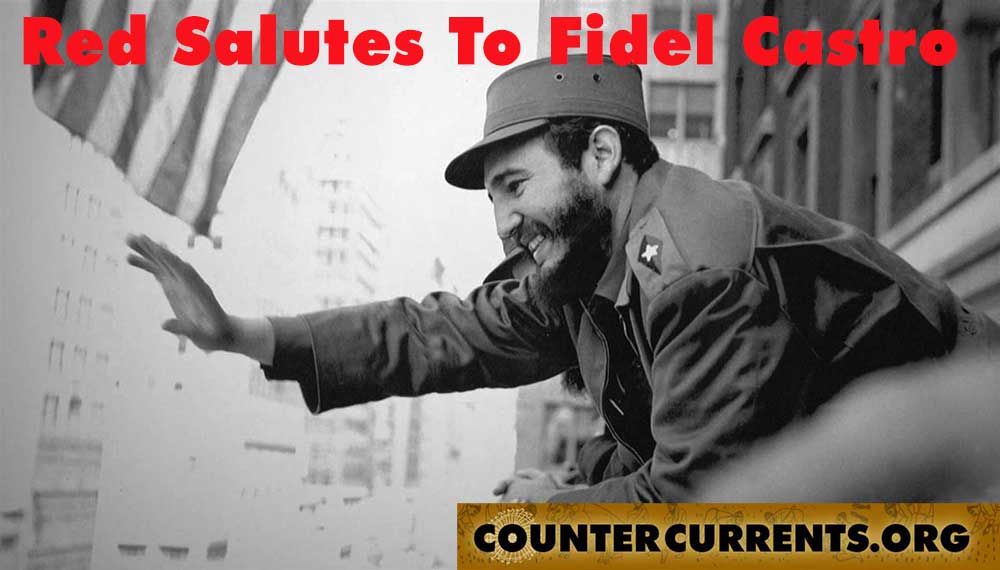 fidelposter