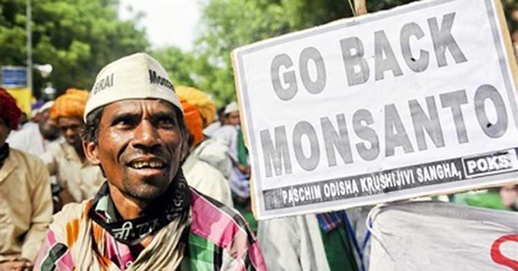 Monsanto