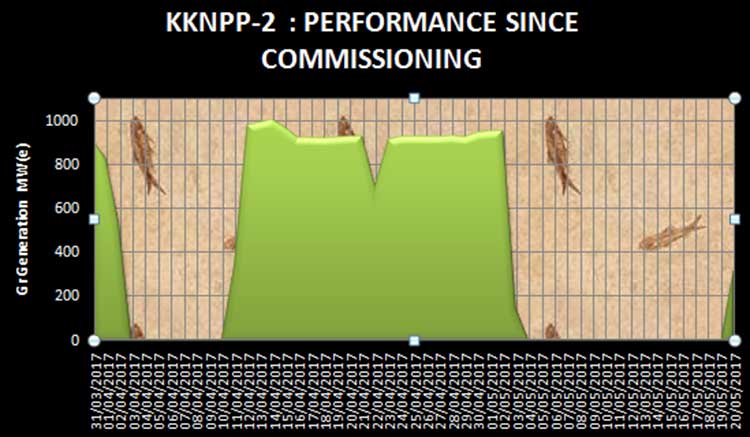 kknp2-2