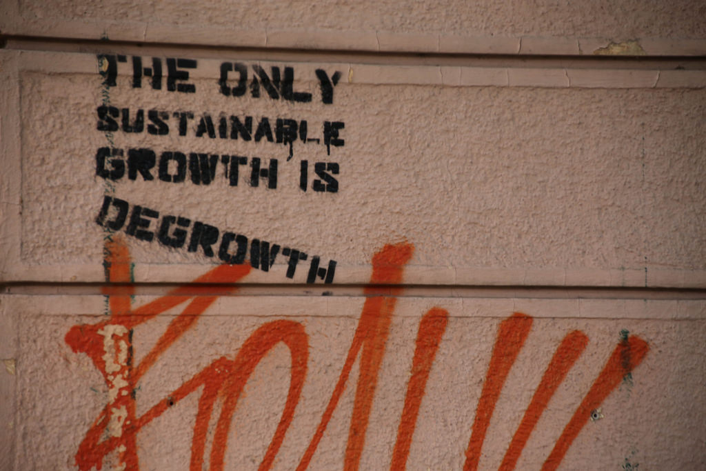 The Only Sustainable Growth is Degrowth by pasa47 degrowth photo