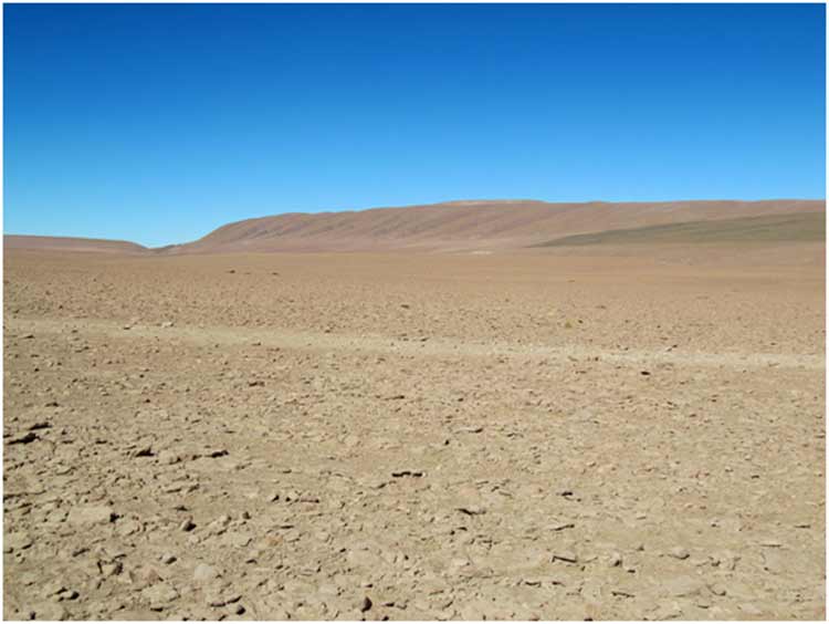 desert