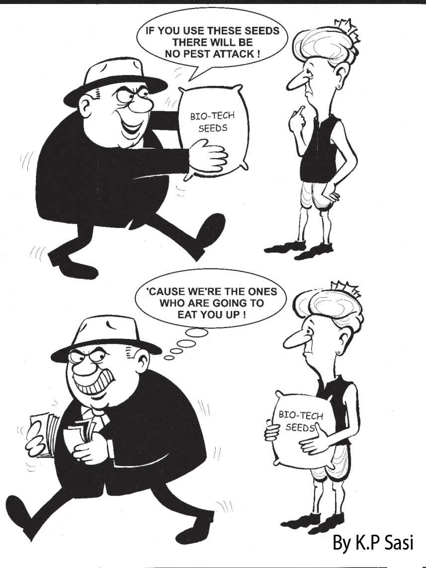 gmo-cartoon