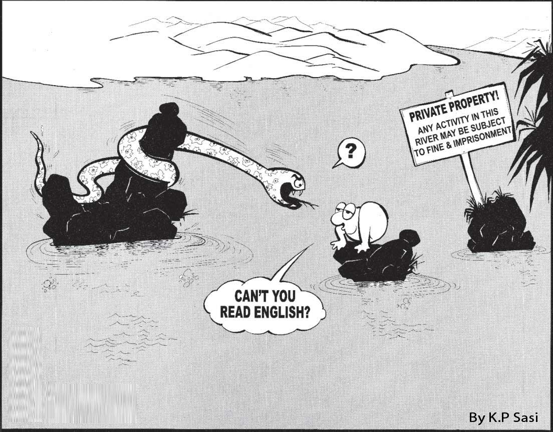 private-river-cartoon