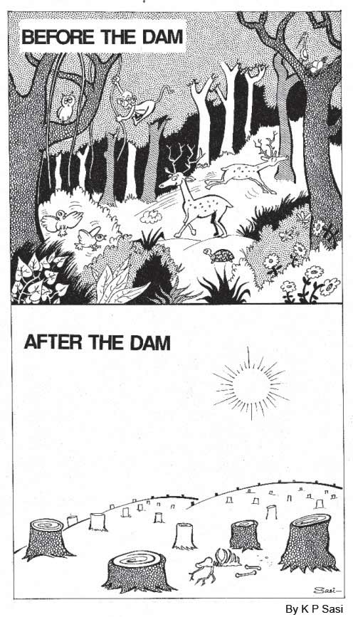 dam-cartoon
