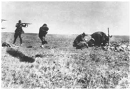 holocaust