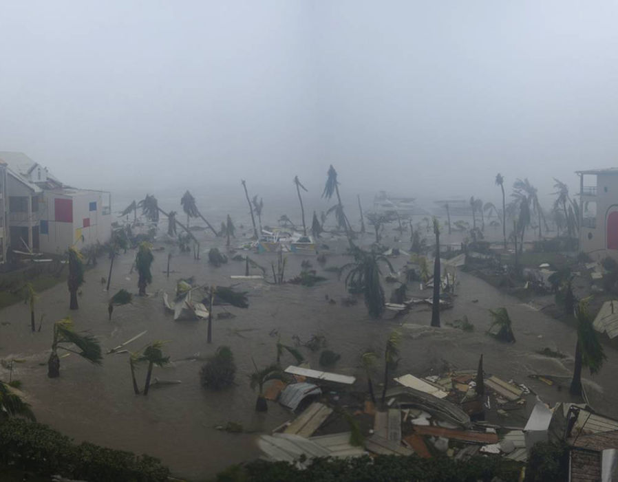 irma5