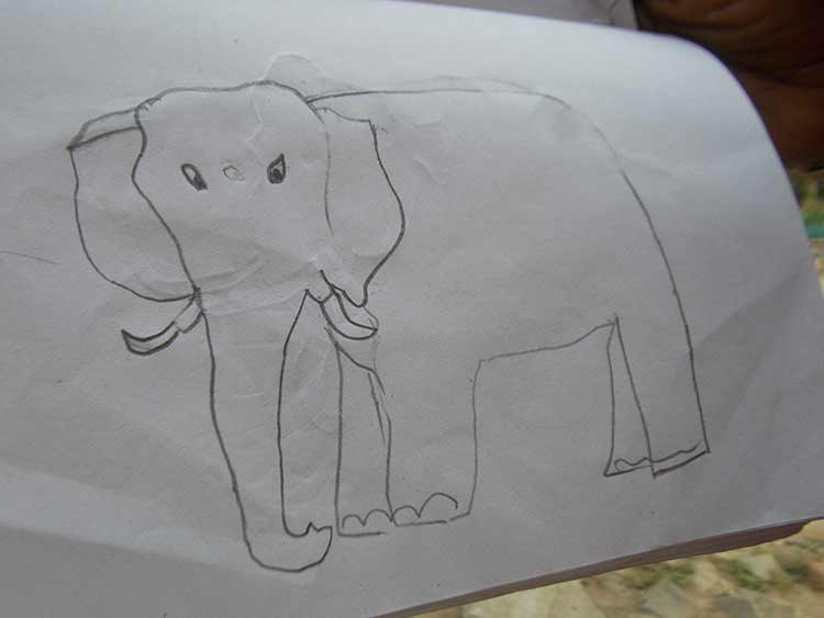 Appu's Elephant