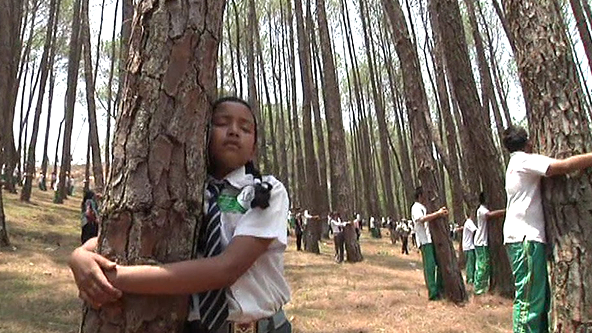 tree huggers