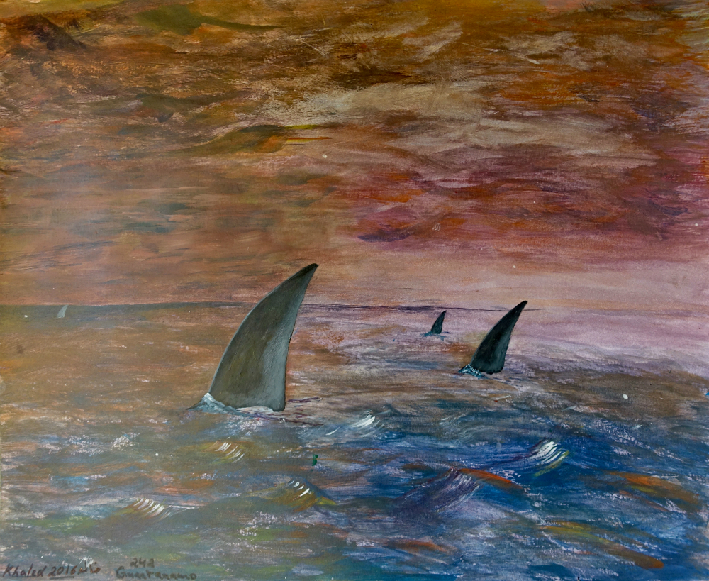 khaled_sharks_large
