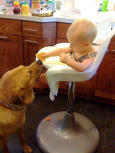 Henry Shares by Kelly Sue sharing photo