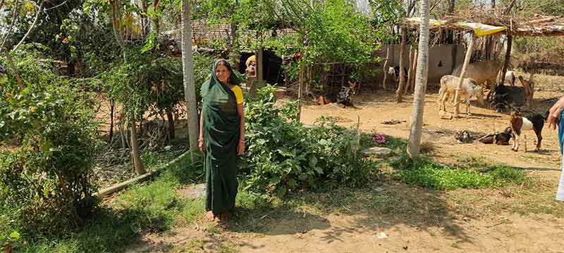 Kanku Devi in Vaagdhara known for her seed saving work