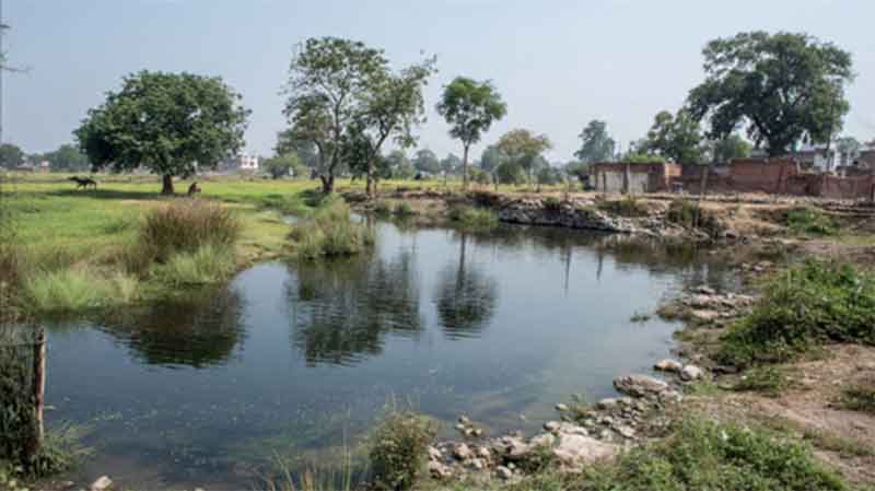 The Vital Role of Public Ponds in India’s Ecology and Society