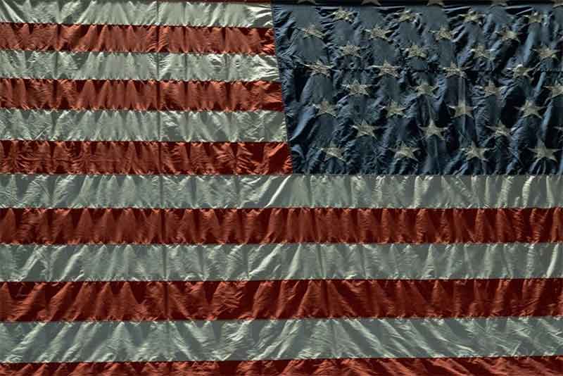 America’s Sheeple Elites