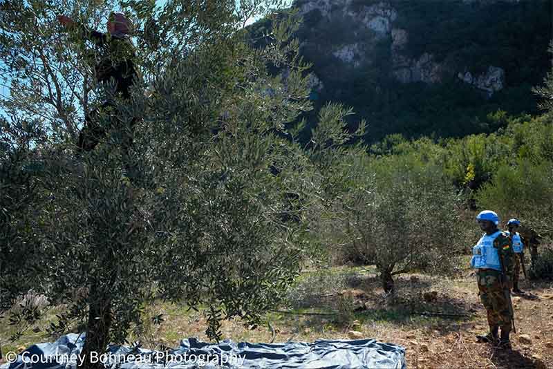 Israel’s chemical spraying of farmland in Lebanon and Syria amounts to war crime, targets civilian survival