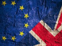 The Brexit Verdict: Failure Of The Idea Of Common Markets