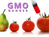 GMOs, “Biggest Fraud In The History Of Science” – Some ‘Questions And Answers’ For The UK’s Royal Society