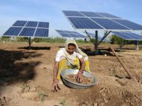  Promote decentralised solar electricity generation