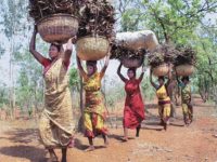 Women Protect Common Forest Rights in Rajasthan