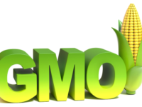 Fabricated Reality: Lobbying For GMO Agriculture In India