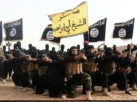 How Obama AdministrationEncouraged The Rise Of Islamic State?