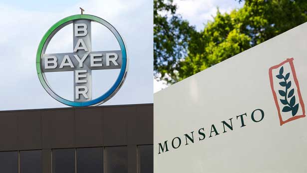 Bayer Monsanto1