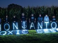 The British Government Has Colluded With Monsanto And Should Be Held Accountable In The International Criminal Court 