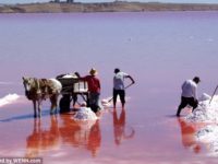 Salt And Trade At The Pink Lake: Community Subsistence In Senegal