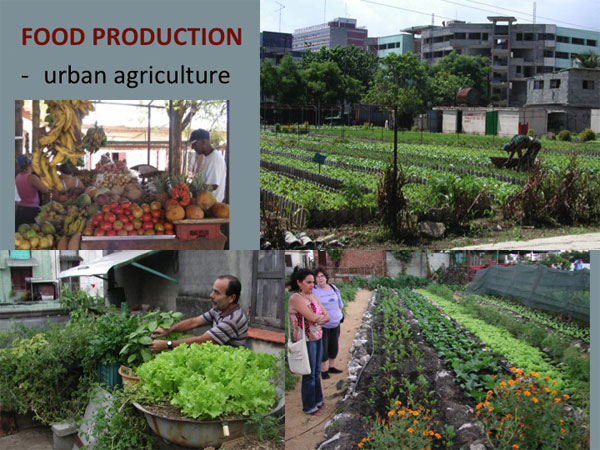 urban-agriculture