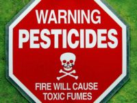 Apocalypse Now! Insects, Pesticide and a Public Health Crisis  
