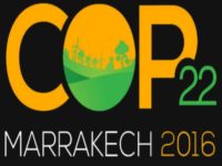 Movement At Marrakech: Climate Change In The Shadow Of Denial