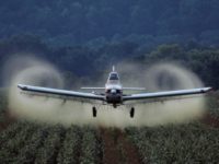 Rolling Back The Tide of Pesticide Poison, Corruption And Looming Mass Extinction 