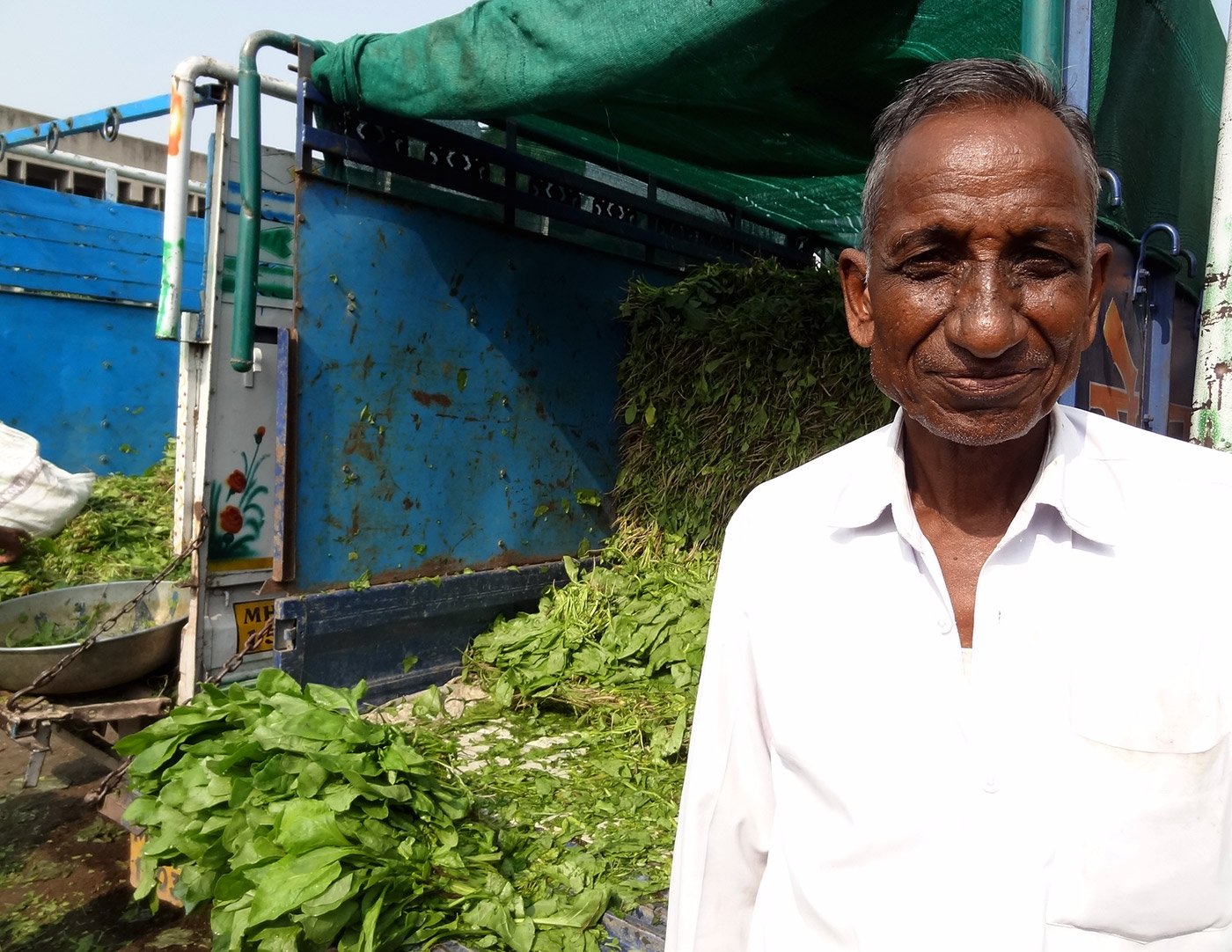 Chandrabhan Jhode with his spinach crop at the Nagpur APMC: a good monsoon had led to a good harvest this year and the farmers were hoping for decent returns after successive years of drought in many regions of the country