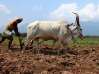 India’s Agrarian Crisis