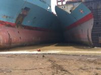 Maersk Georgia and Maersk Wyoming are beached by the Shree Ram yard in Alang, where they lie wedged between other end-of-life vessels in the intertidal zone. The tidal range is 13 meters. Photo: S. Rahman.