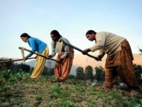 Land Reforms as political agenda for 2019
