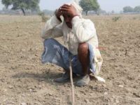 Healing India’s Suicidal Farmers